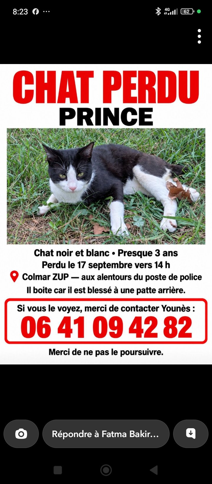 Prince · animal recherché sur Retrouvia
