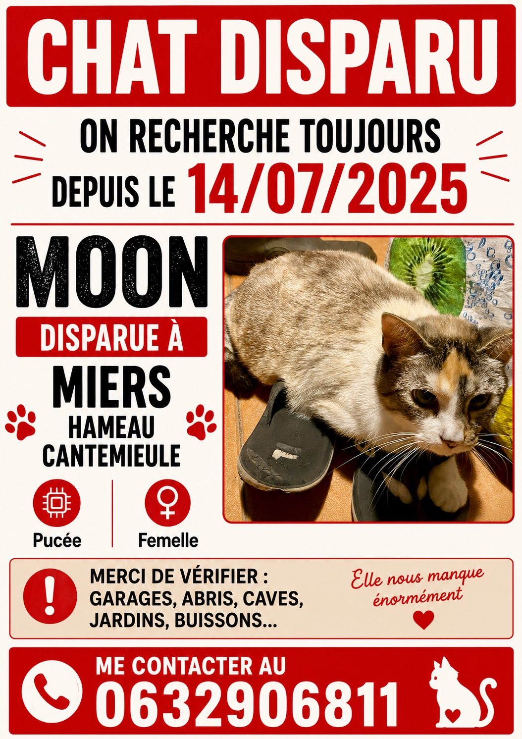 Moon · animal recherché sur Retrouvia